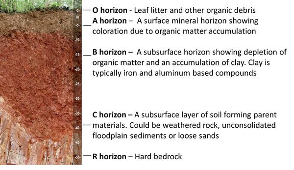 soil horizons